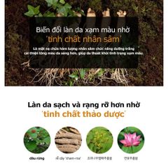 Mặt Nạ Dưỡng Da Hàn Quốc Giá Rẻ | Tinh Chất Thiên Nhiên Nhân Sâm