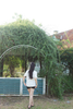 Áo thun nữ cotton khô