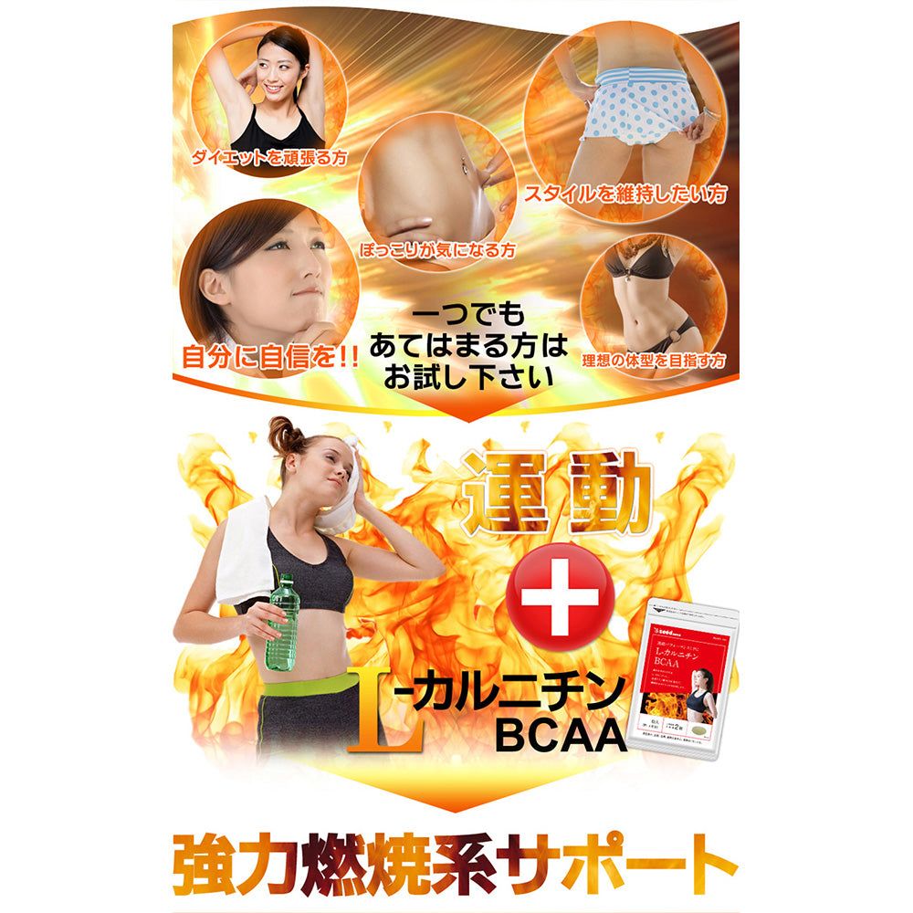 Viên Uống Bổ Sung L-Carnitine BCAA Hỗ Trợ Giảm Cân