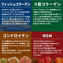 Viên Uống Bổ Sung Glucosamin Có Chứa Collagen Type 2 Hỗ Trợ Sụn, Xương Khớp