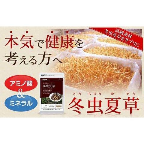 Viên Uống Chiết Xuất Đông Trùng Hạ Thảo Tăng Cường Đề Kháng, Miễn Dịch