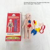  Xếp Hình 3D Montessori: Mô Hình Giải Phẫu Sinh Học Cơ Thể Người - 7189 (130-9) 