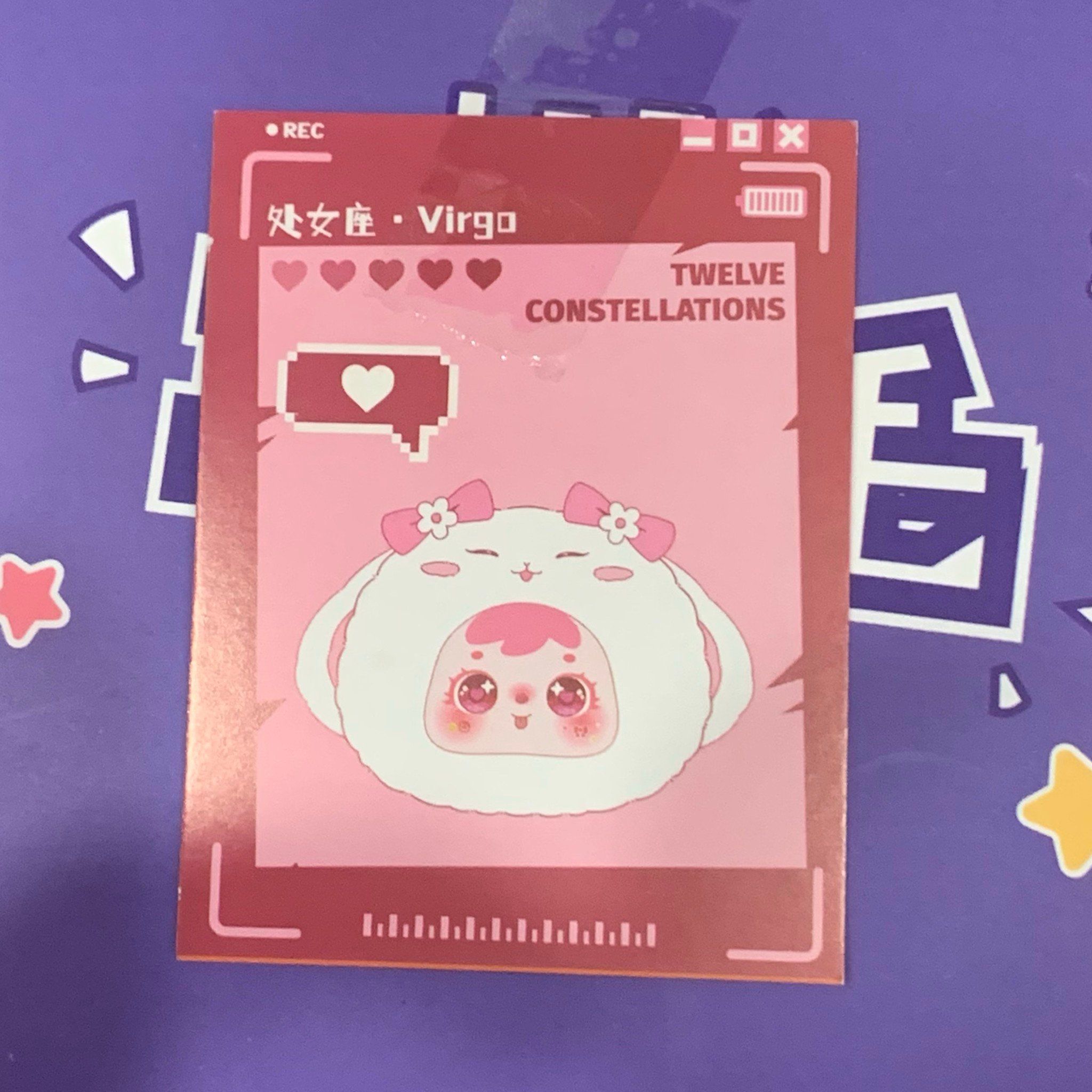  BLINDBOX SAMUEL : Lẻ 1 box Blindbox Samuel 12 cung hoàng đạo ( hàng có sẵn ) 
