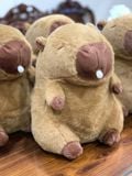  Thú bông: Chuột Capybara Dễ thương, kt 30cm, loại bông nhập khẩu rất mịn màng và mềm mại 