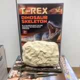  Đồ chơi khám phá : Khủng long 3ages+, No. AT718,19,20,21 