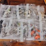  Đồ chơi lắp ráp : Bộ Rồng thần của phù thủy  (Skull Sorcerer's Dragon) 1193pcs,  6ages+, No. 11556 