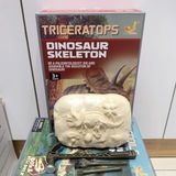  Đồ chơi khám phá : Khủng long 3ages+, No. AT718,19,20,21 