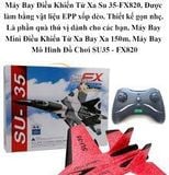  Máy bay điều khiển từ xa FX-820 