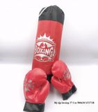  Đồ Chơi Vận Động: Bộ tập boxing 37 Cm -YF371B (500630) 