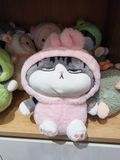  [SOCCON] Gấu bông _Mèo đại ca đội nón size M 