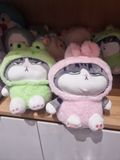  [SOCCON] Gấu bông _Mèo đại ca đội nón size M 