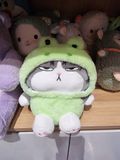  [SOCCON] Gấu bông _Mèo đại ca đội nón size M 