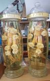  Nhân Sâm Tươi Geumsan Hàn Quốc Size Nhỡ 8, 9, 10 Củ 1 Kg Và Size Nhỏ 