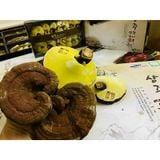  Nấm Linh Chi Gỗ Sồi SangJu City Hàn Quốc Nhập Khẩu Chính Hãng 