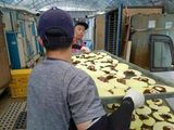  Nấm Linh Chi Gỗ Sồi Cao cấp khay mây SangJu City Hàn Quốc Nhập Khẩu Chính Hãng 
