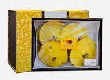  Nấm linh chi Hàn Quốc hộp kim tuyến 1 kg Nhập Khẩu Chính Hãng 