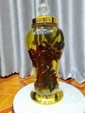  Nấm Linh Chi Sừng Hươu Hộp giấy 500 gram Chuẩn Nội Địa Hàn Quốc 