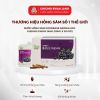  Nước Hồng Sâm Goodbase Aronia KGC Hàn Quốc Nhập Khẩu Chính Hãng 
