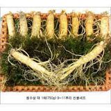  Nhân Sâm Tươi Geumsan Hàn Quốc Size Nhỡ 8, 9, 10 Củ 1 Kg Và Size Nhỏ 