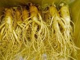  Nhân Sâm Tươi Geumsan Hàn Quốc Size Lớn 4, 5, 6, 7 Củ 1 Kg 