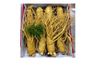  Nhân Sâm Tươi Geumsan Hàn Quốc Size Nhỡ 8, 9, 10 Củ 1 Kg Và Size Nhỏ 