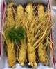  Nhân Sâm Tươi Geumsan Hàn Quốc Size Nhỡ 8, 9, 10 Củ 1 Kg Và Size Nhỏ 
