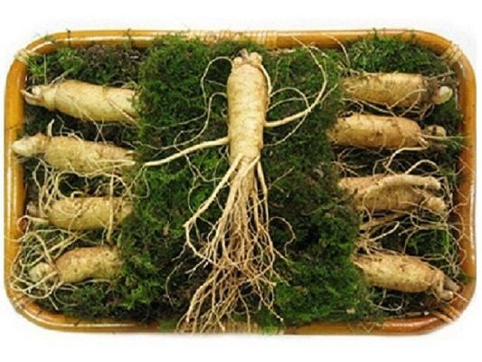 Củ Sâm Tươi Nên Làm Gì - Khám Phá Những Cách Sử Dụng Tuyệt Vời