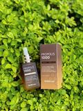  Serum keo ong Wellderma Propolis 1000 phục hồi da - 50ml Hàn Quốc 