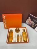  Set Dưỡng Da Sulwhasoo Concentrated Ginseng Daily Routine 