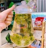  Trà Hoa Sâm GeumSan Chuẩn Nội Địa Hàn Quốc 
