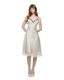  Dottie Dreams dress 