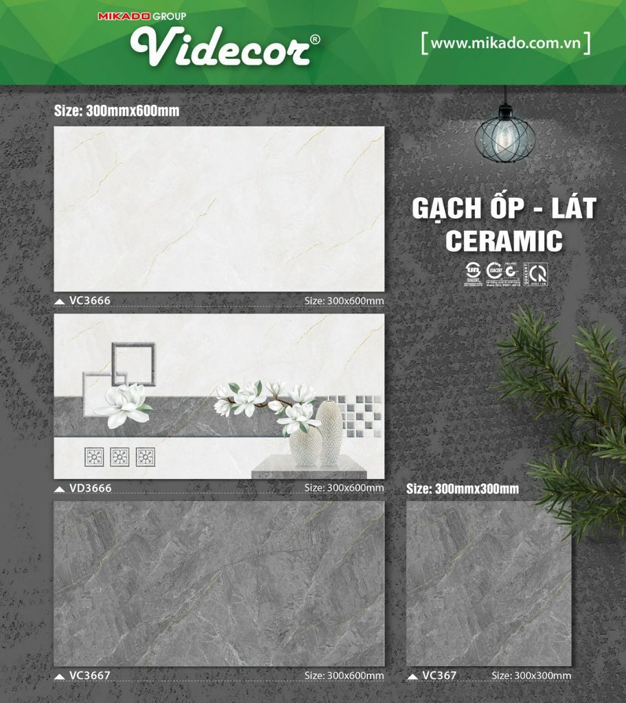 Gạch ốp tường 30x60; VC 3666