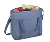 OEM ODM Custom rPET Acadia Insulated Bag Manufacturing – Made to Order  - UMO BP5704011