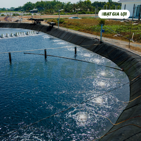 bạt lót hồ thủy sản, bạt nuôi tôm, bạt nuôi cá, bạt lót hồ, bạt lót bờ hồ