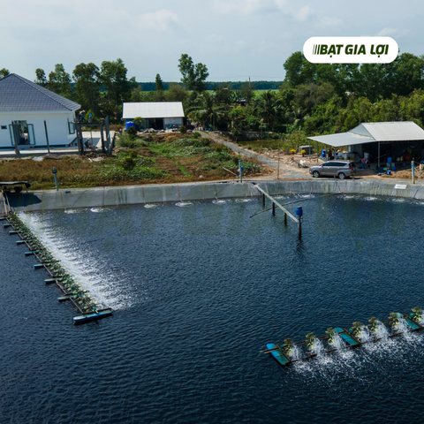 bạt lót hồ thủy sản, bạt nuôi tôm, bạt nuôi cá, bạt lót hồ, bạt lót bờ hồ