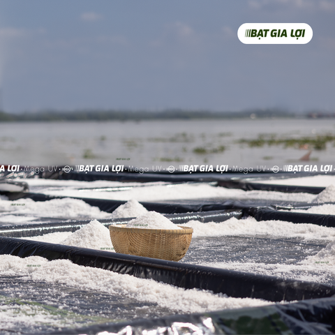 Bạt muối, bạt lót ruộng muối, màng chống thấm lót ruộng muối