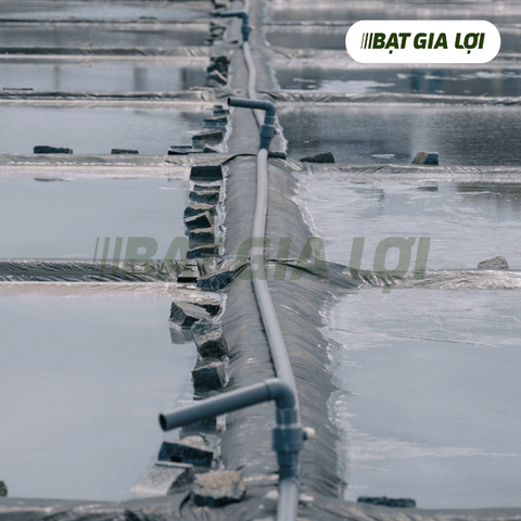 Bạt nuôi cá, bạt lót hồ, bạt nuôi tôm, bạt thủy sản