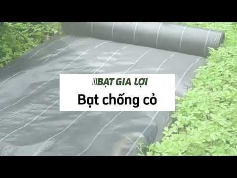 bạt chống cỏ, bạt chắn cỏ, bạt phủ gốc chống cỏ, bạt trải nền, bạt phủ gốc cây, bạt diệt cỏ