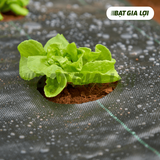  Bạt Phủ Chống Cỏ PP 90gr/m2 Đen 