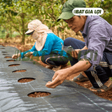  Bạt Phủ Chống Cỏ PP 120gr/m2 Đen 
