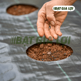  Bạt Phủ Chống Cỏ PP 120gr/m2 Đen 