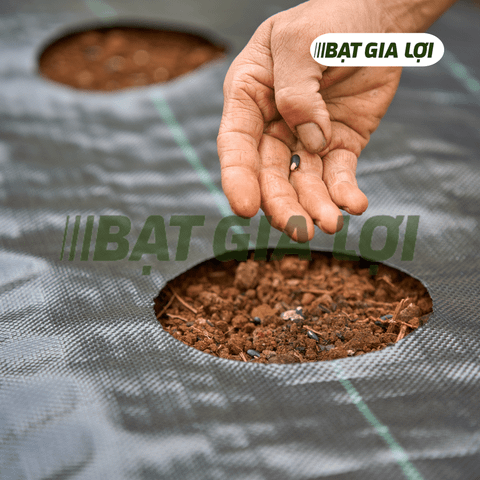 bạt chống cỏ, bạt chắn cỏ, bạt phủ gốc chống cỏ, bạt trải nền, bạt phủ gốc cây, bạt diệt cỏ