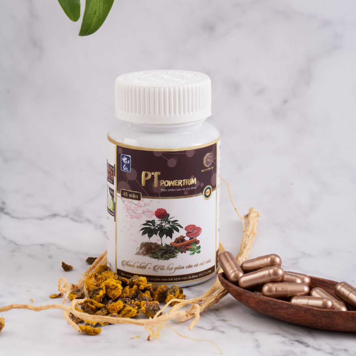  Viên giảm cân đốt mỡ Phạm Gia Gold3+ (45 viên) 