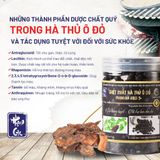  Hà thủ ô Phạm Gia Gold3+ 