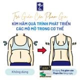  Trà giảm cân Phạm Gia Gold3+ (40 túi) 