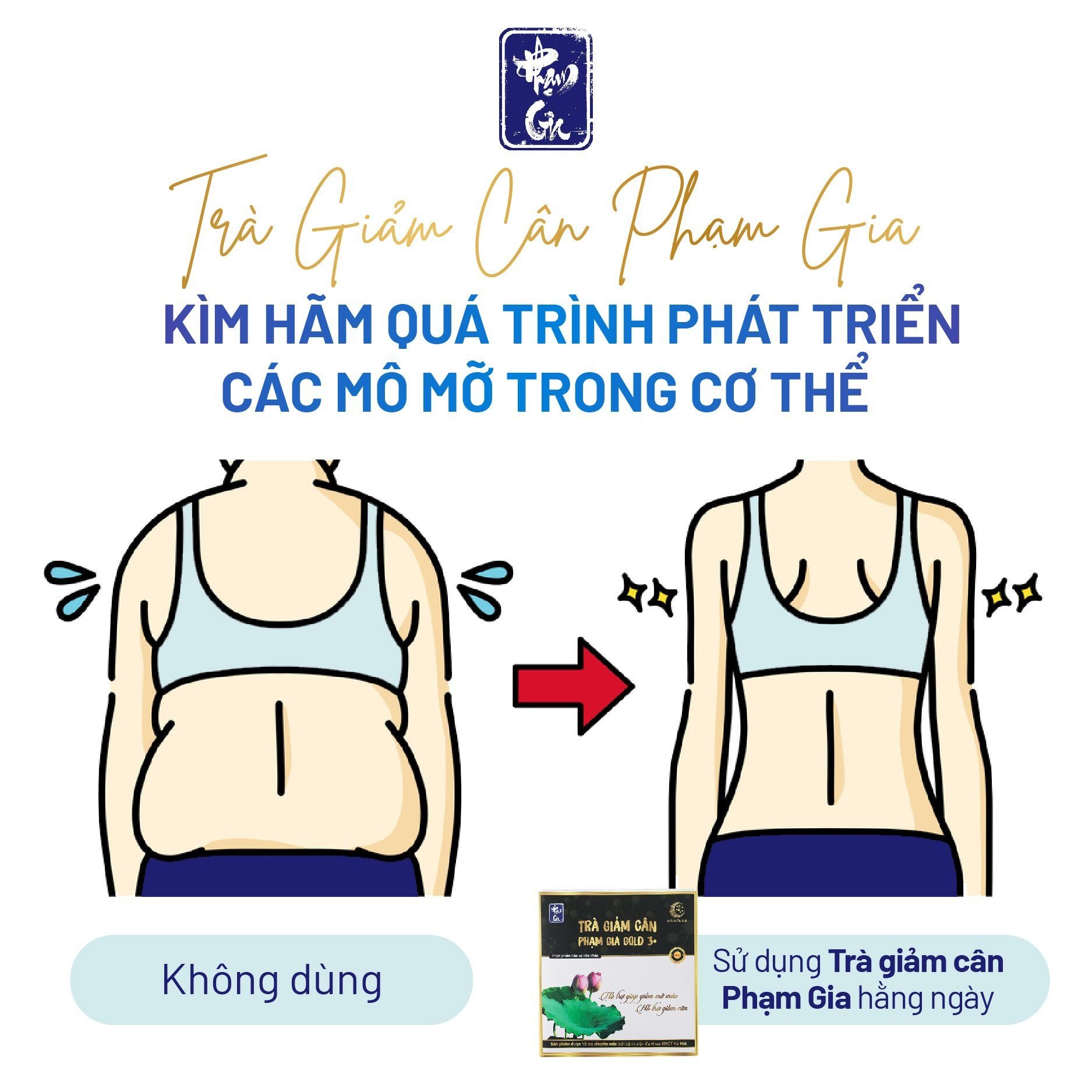  Trà giảm cân Phạm Gia Gold3+ (40 túi) 