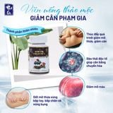  Viên giảm cân đốt mỡ Phạm Gia Gold3+ (45 viên) 
