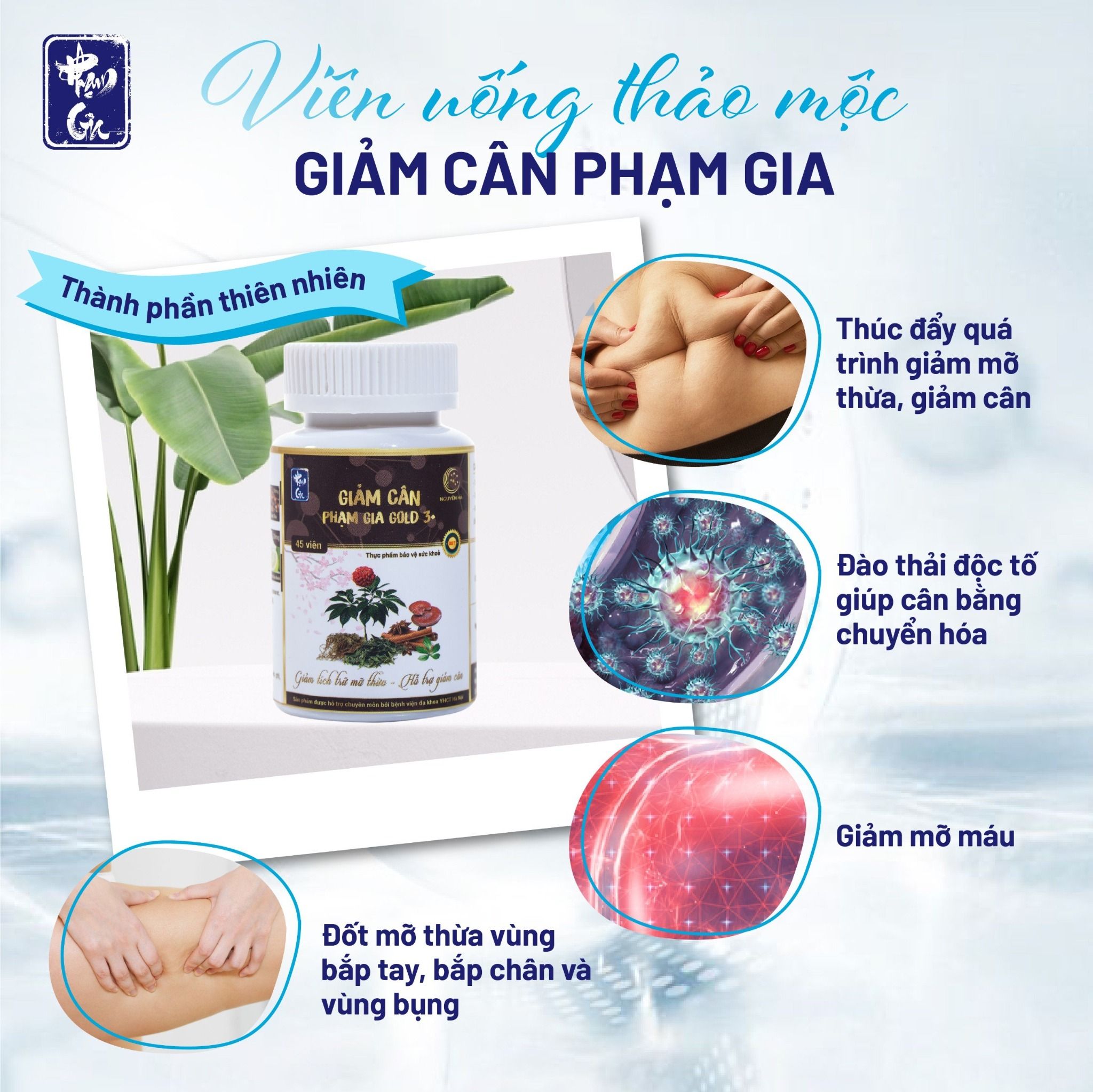  Viên giảm cân đốt mỡ Phạm Gia Gold3+ (45 viên) 