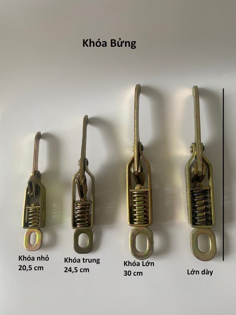 Khóa tôm sắt ( khóa bửng)