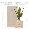 Tinh dầu tán hương Orris Mimosa The Ritual Private Collection Fragrance Sticks